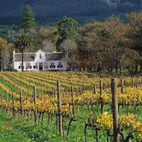 winefarm